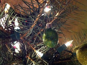 Where in the world is Olive?