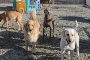 "Hey guys, I'm 'IT' AGAIN?"