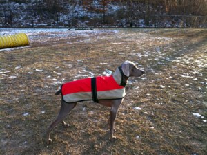 "May I stop POSING now?"