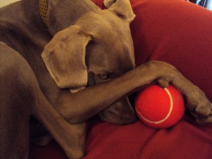 "Don't even think about it."