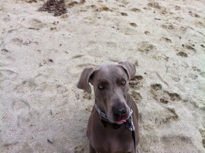 "May I have a napkin?"