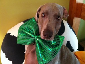 "You may kiss my bowtie."