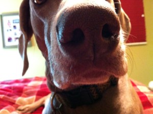 "We're doing WHAT tomorrow?