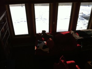 "There's a pea under the mattress."