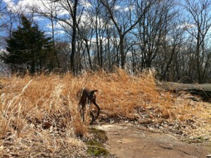 "Are you getting this?"