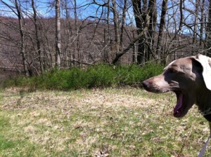 "MOVE. FASTER. NOW."