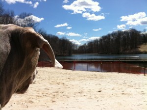 "The world IS my oyster."