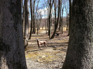 "Is this my walk-on?"