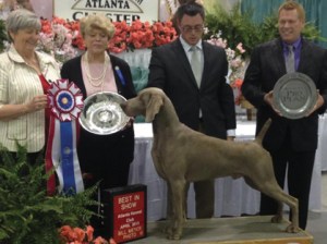 "THAT'S my half brother!"