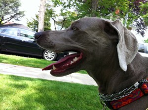 "Bet you didn't think I could do THAT!"