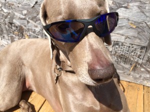 "What we've got here is a failure to communicate."