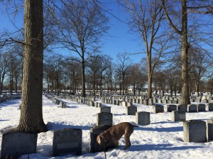 "I know it's here somewhere."