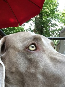 "ALL sides are my best side!"